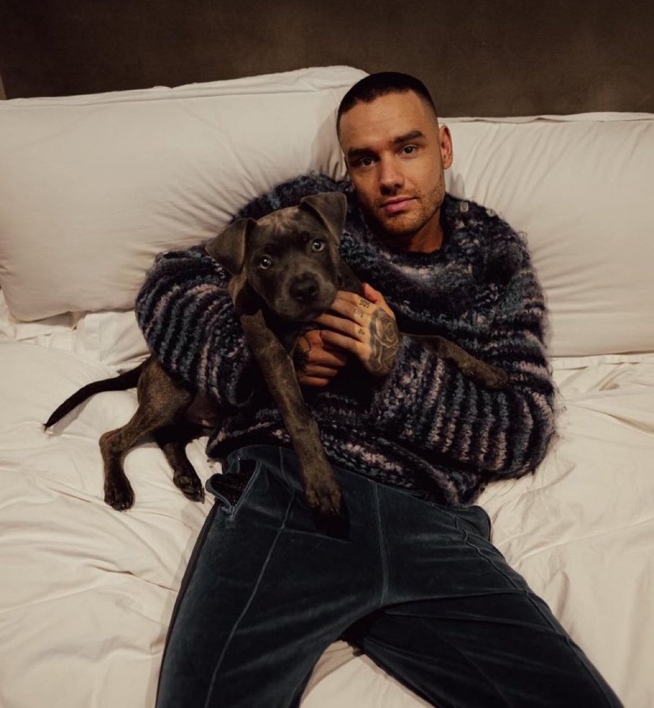 Fallece Liam Payne ex integrante de One Direction. Shock totaaaal ☹️