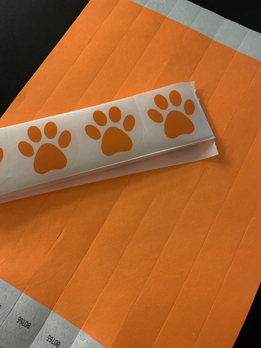 Today we wore orange to celebrate Unity Day!