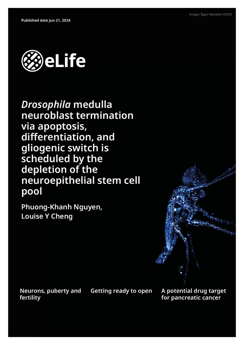 Khanh Nguyen (@khanh_ng97) on Twitter photo Super honoured to receive the ECR publication award from <a href="/ANZSCDB/">ANZSCDB</a> at <a href="/AusFly2024/">AusFly2024</a>. Sending big thanks to the organisers, the boss <a href="/LabFly/">Cheng Fly Lab</a>, and everyone in the fly community 💕 Super honoured to receive the ECR publication award from <a href="/ANZSCDB/">ANZSCDB</a> at <a href="/AusFly2024/">AusFly2024</a>. Sending big thanks to the organisers, the boss <a href="/LabFly/">Cheng Fly Lab</a>, and everyone in the fly community 💕