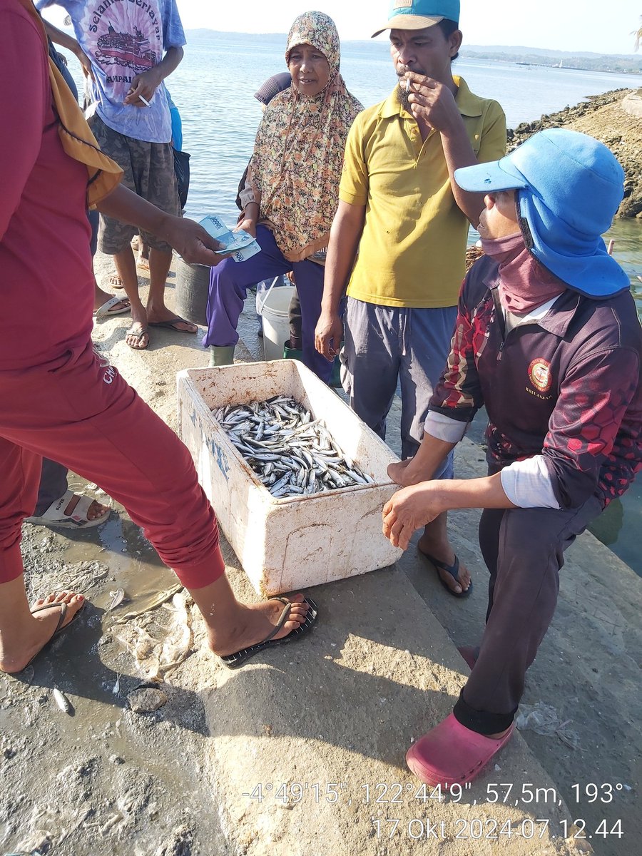 AsrianiBone's tweet photo. Kamis(17/10/2024), Asriani Luhkan Kab Muna, Pendataan Produksi hasil Tangkapan panja pada Kub Tenrisanna ikan Layang Kecil 2 gbs (80) kg Harga Rp 1.000.000.
#GiatLuhkanSatminkalMaros
#MunaLuhlapor
#BPPSDMKP
#BRPBAPPP_MAROS
#PUSLATLUHKP https://t.co/loj3Mou9bu