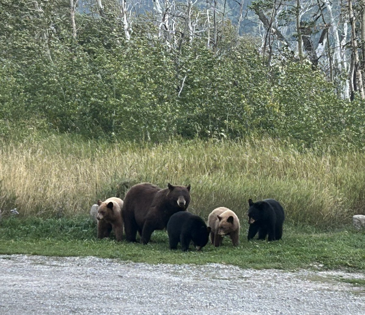 Jamie 💙🦋🌎 tweet media