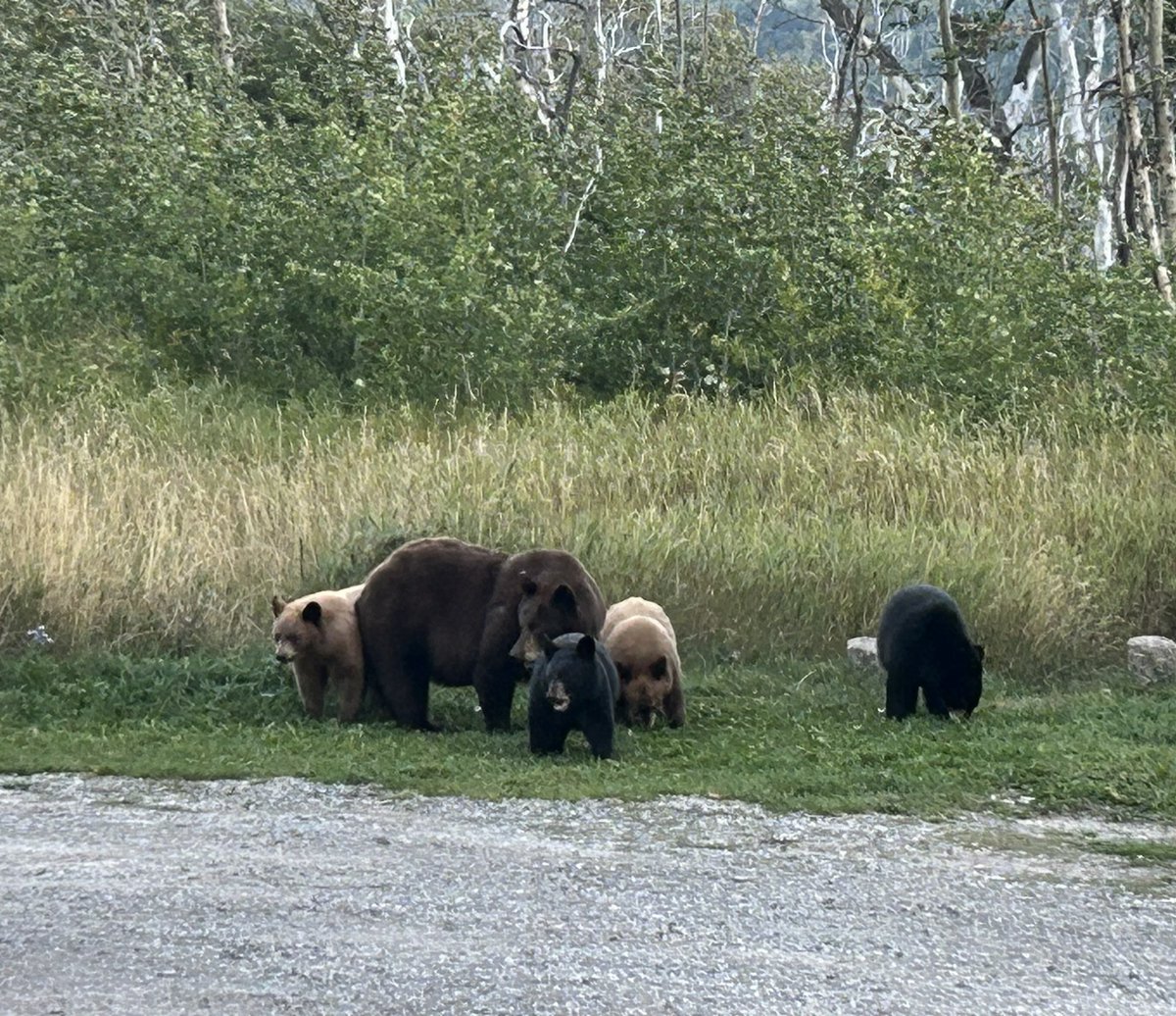 Jamie 💙🦋🌎 tweet media