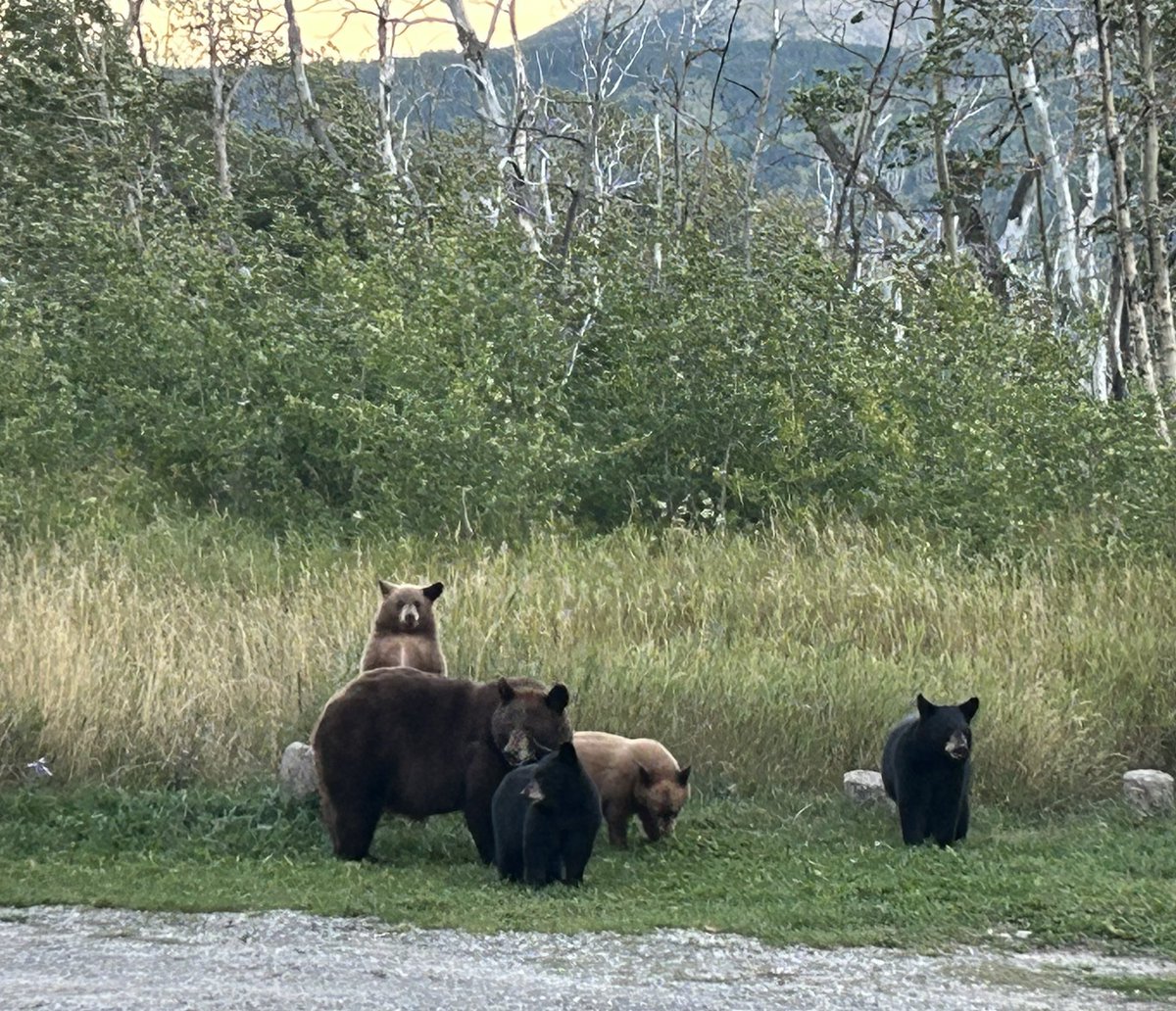 Jamie 💙🦋🌎 tweet media