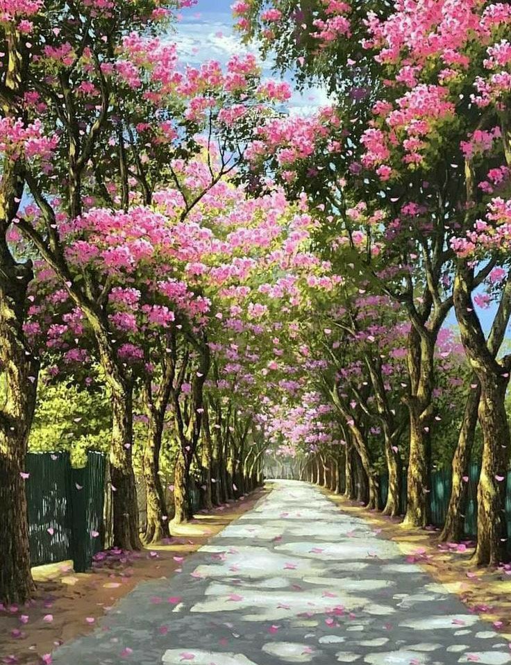 اللهــم مــا أصبـح بي مـن نعمـةٍ أو 
بأحـدٍ مـن خلقـك فــمنـك وحــدك 
لا شريك لك فلك الحمد ولك الشكر

مـن قـالها فقـد أدى شكر يومـه🤍