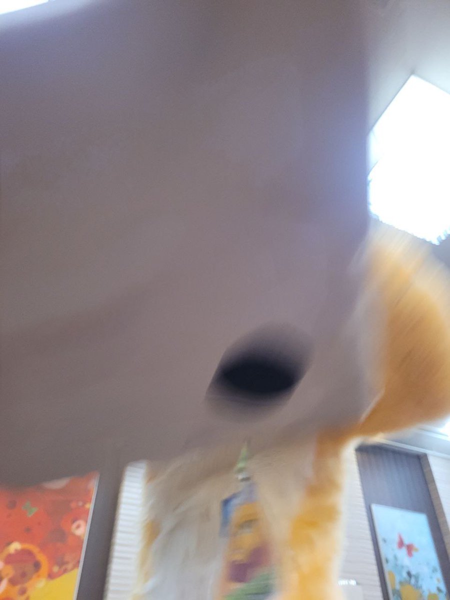 Cheeseus Christ (@ChristCheeseus) / Posts / X