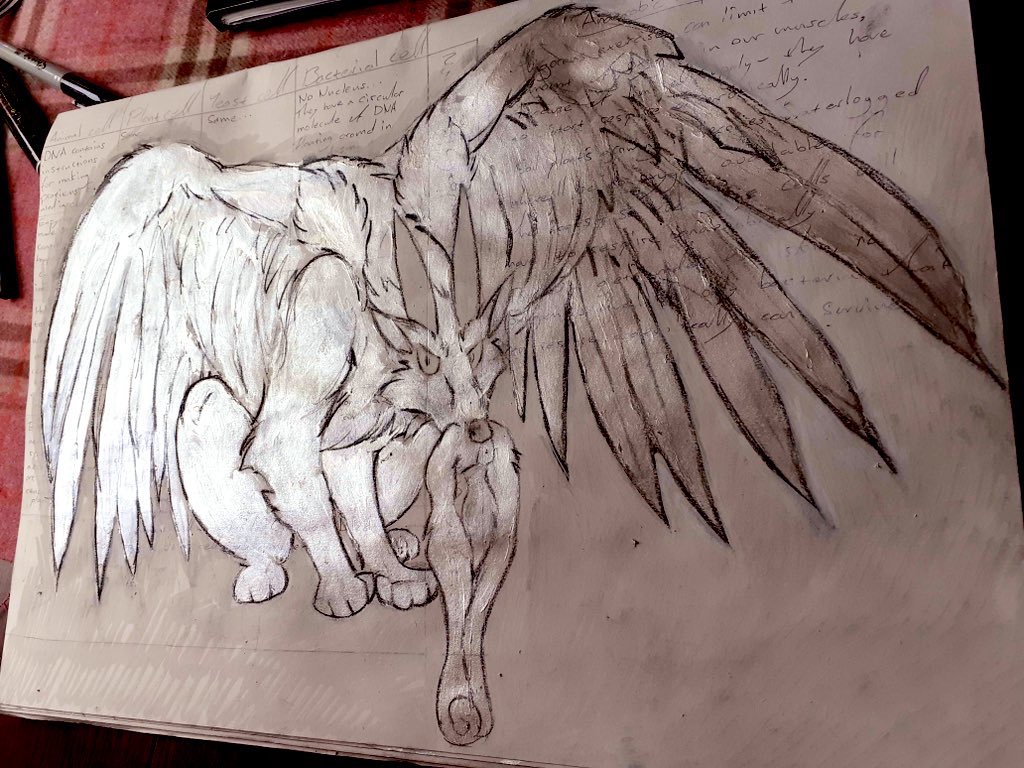 RazorAnimation's tweet image. 