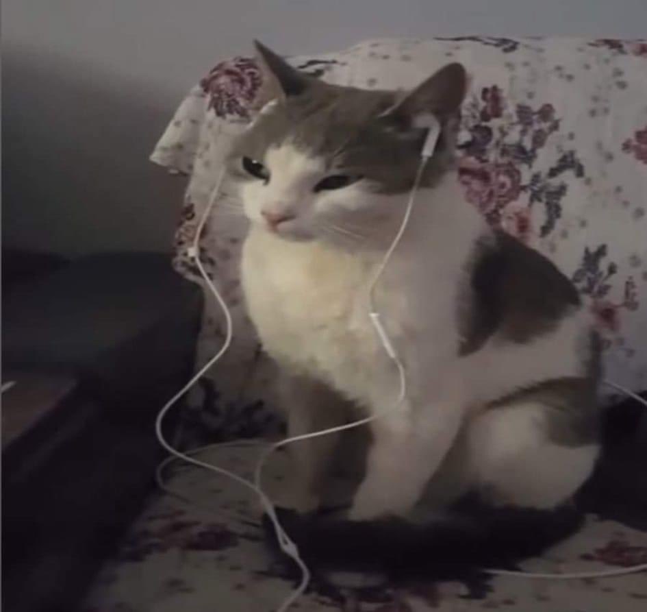 Está canción me lastima la voy a poner otra vez