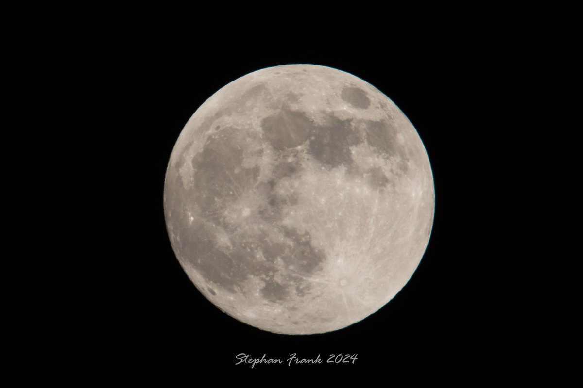 Stephan Frank tweet media