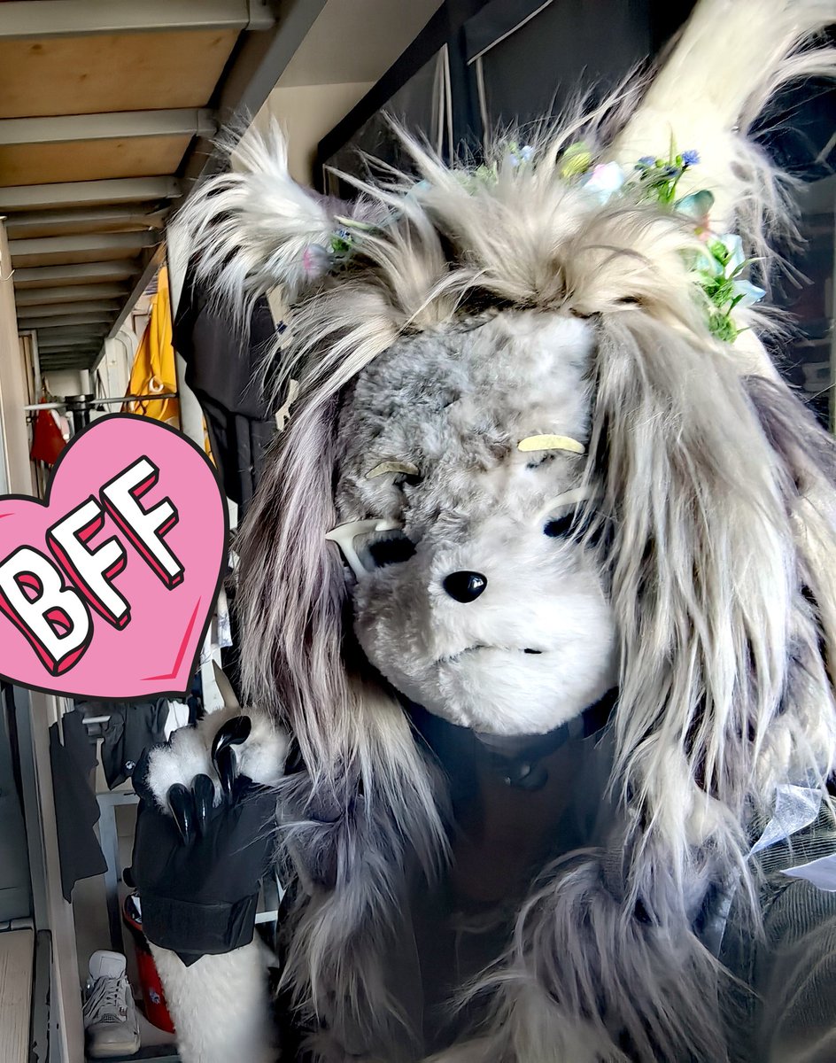 KOROKAWAYOU's tweet photo. ここは作詞、歌、ダンスが好きで、多言語学習者でもある黒川凌です。同時に私の衣装「風玄蒼」も到着したばかりなので、その写真を皆さんにシェアしたいと思います。🥰🐺🌹#おきけも #fursuit https://t.co/9kkPvewtAE