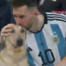 Jaja, wacho me re olvidé de la copa. De pedo me di cuenta de que ya estaban los mano a mano. Vayan a votarme🧌
