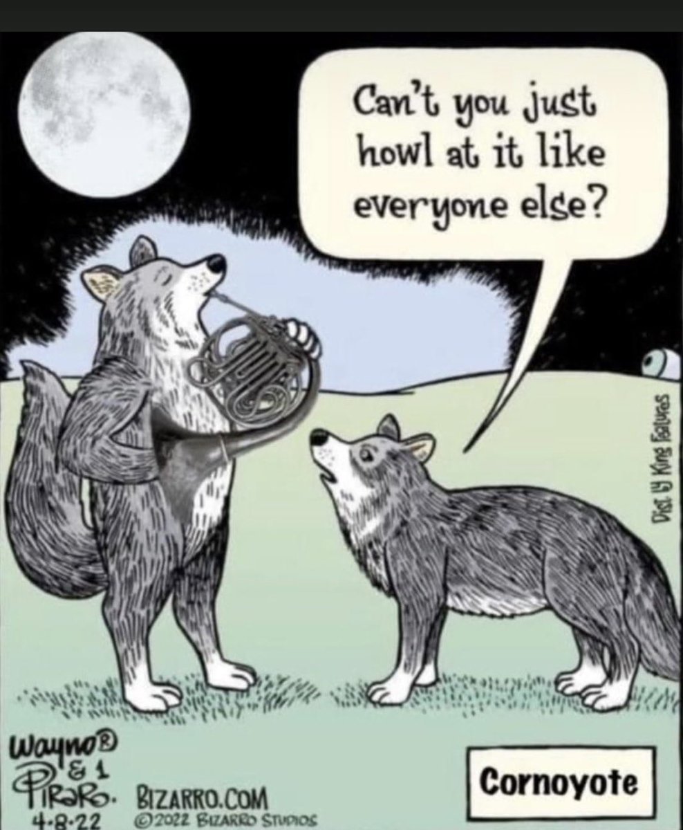 #jokeoftheday #horn #music