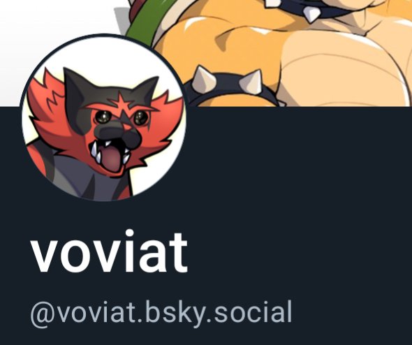 voviat tweet media