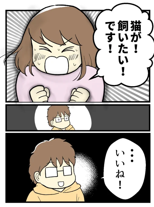 (6/6) 