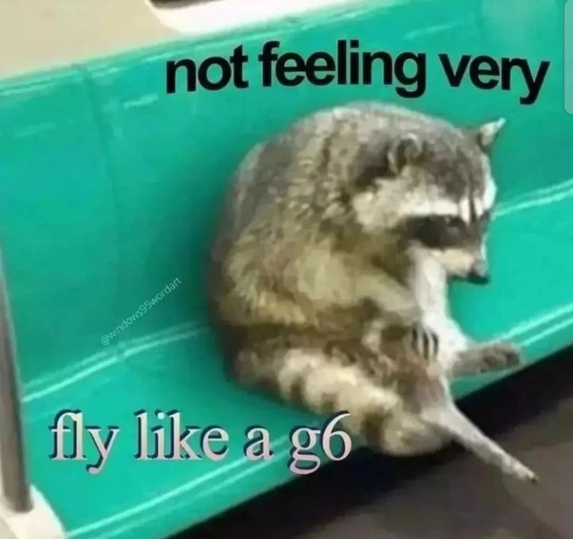 raccoon aesthetic. (@raccoonesthetic) on Twitter photo 