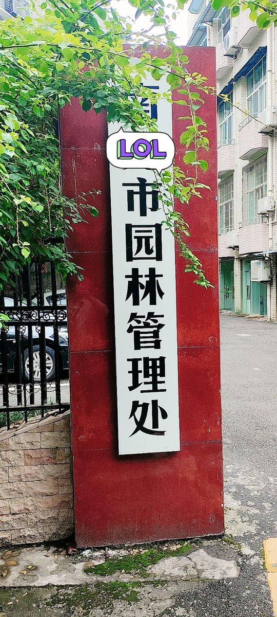 我追他们跑然后他们跑回去了，好玩😋