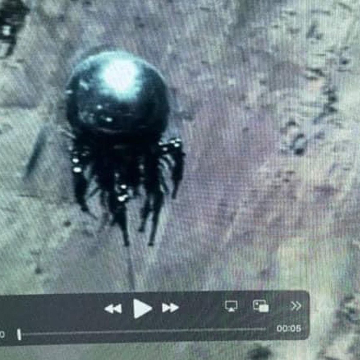 Ya puedes adquirir mi nuevo EP llamado "Visitors" vía <a href="/Bandcamp/">bandcamp</a> .
Contiene 4 tracks con distintos estilos, disfruten y compartan.

Gracias por todo! 

omaarmusic.bandcamp.com/album/visitors