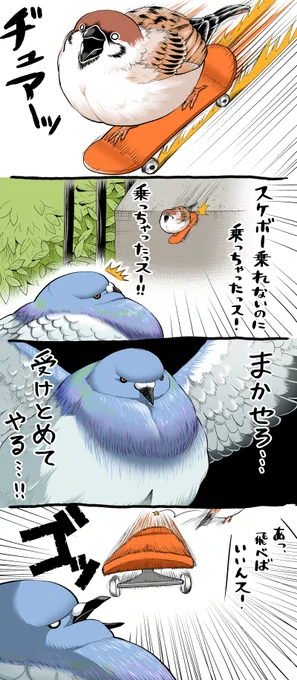 スケボ 