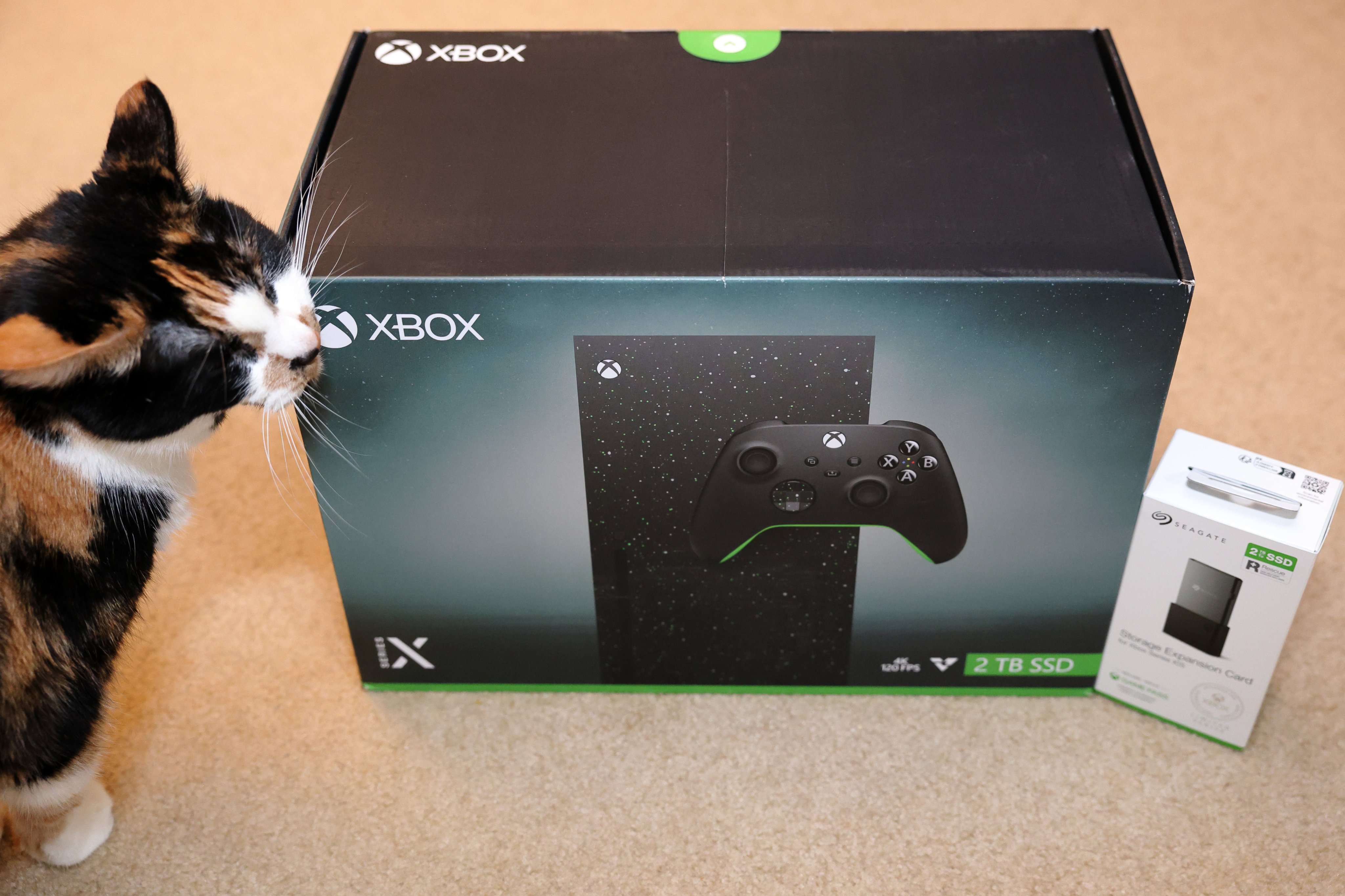 Xbox - Xbox Series S/X用 2TB純正ストレージ拡張カード 美品！ Amazon.com: Seagate 希捷Storage Expansion Card Xbox Series X