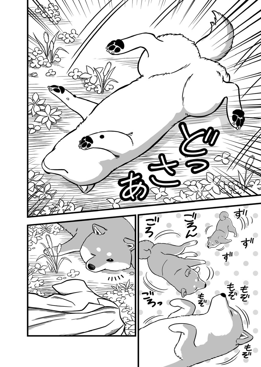 ①/2 