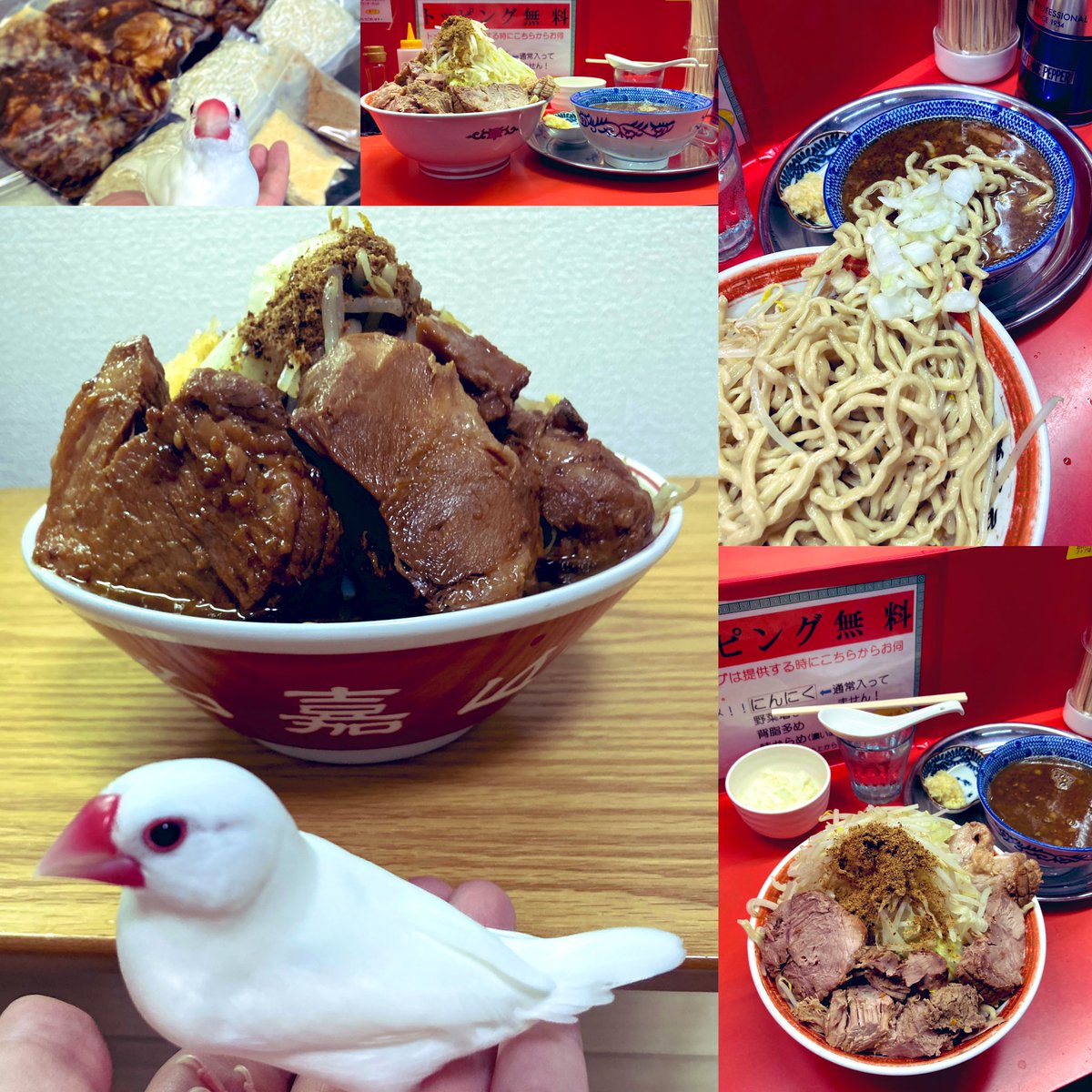 nakayamasimasi's tweet photo. 麺でる@戸越公園店
つけ麺＋玉葱＋豚マシ＋持ち帰り冷凍ラーメン
ヤサイマシマシニンニク

令和の米騒動で米が高いから代替品を求めて🌾💰米がなければ、麺を食べればいいじゃない👸持ち帰りラーメンの豚が巨豚過ぎてキョトンとしてる新キャラの名嘉山ぴいちゃん🪿💦
PS
お家に鳥さんが来マシたよ🪿🍜 https://t.co/n3EzlCGgzn