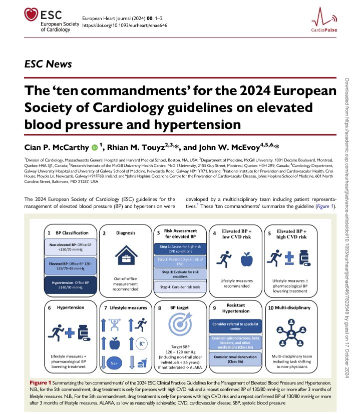 rksanti's tweet photo. ✅Los 'diez mandamientos' de las directrices de la Sociedad Europea de Cardiología de 2024 sobre presión arterial elevada e hipertensión💯 https://t.co/IFx5VnQxfi