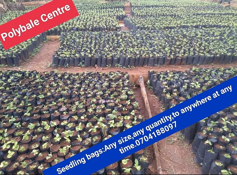 Seedling Bag Suppliers (@seedlingbags) on Twitter photo 