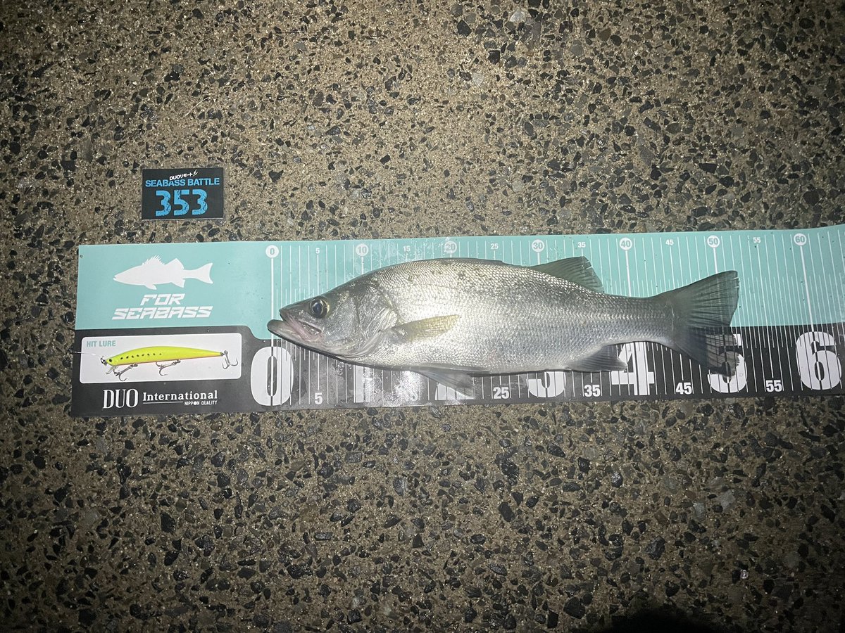 surf_ra_boy's tweet photo. タイドミノースリムをふわ〜っとスローリトリーブしていると少し重めのバイト🎣

少しサイズアップ🤓

#DUOリモートシーバスバトル #シーバス　#タイドミノースリム　#鹿児島　#釣り好きな人と繋がりたい https://t.co/YEgTDZruZR