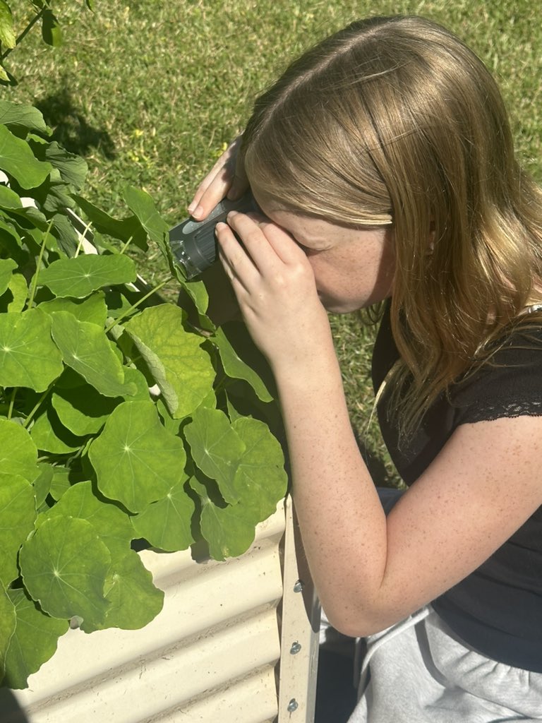 โ๐ ๐ค๐๐๐๐ฃ๐ช ๐๐๐ค๐ค๐๐๐๐๐ฃ ๐ฆ
tweet media