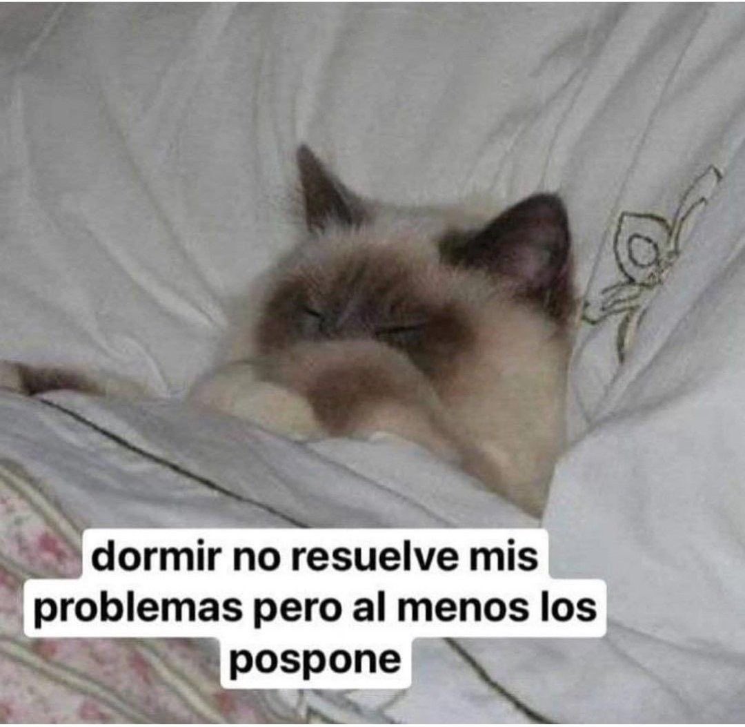 Gatitos Que Curan Tu Depresion (@gatitodepresion) on Twitter photo 