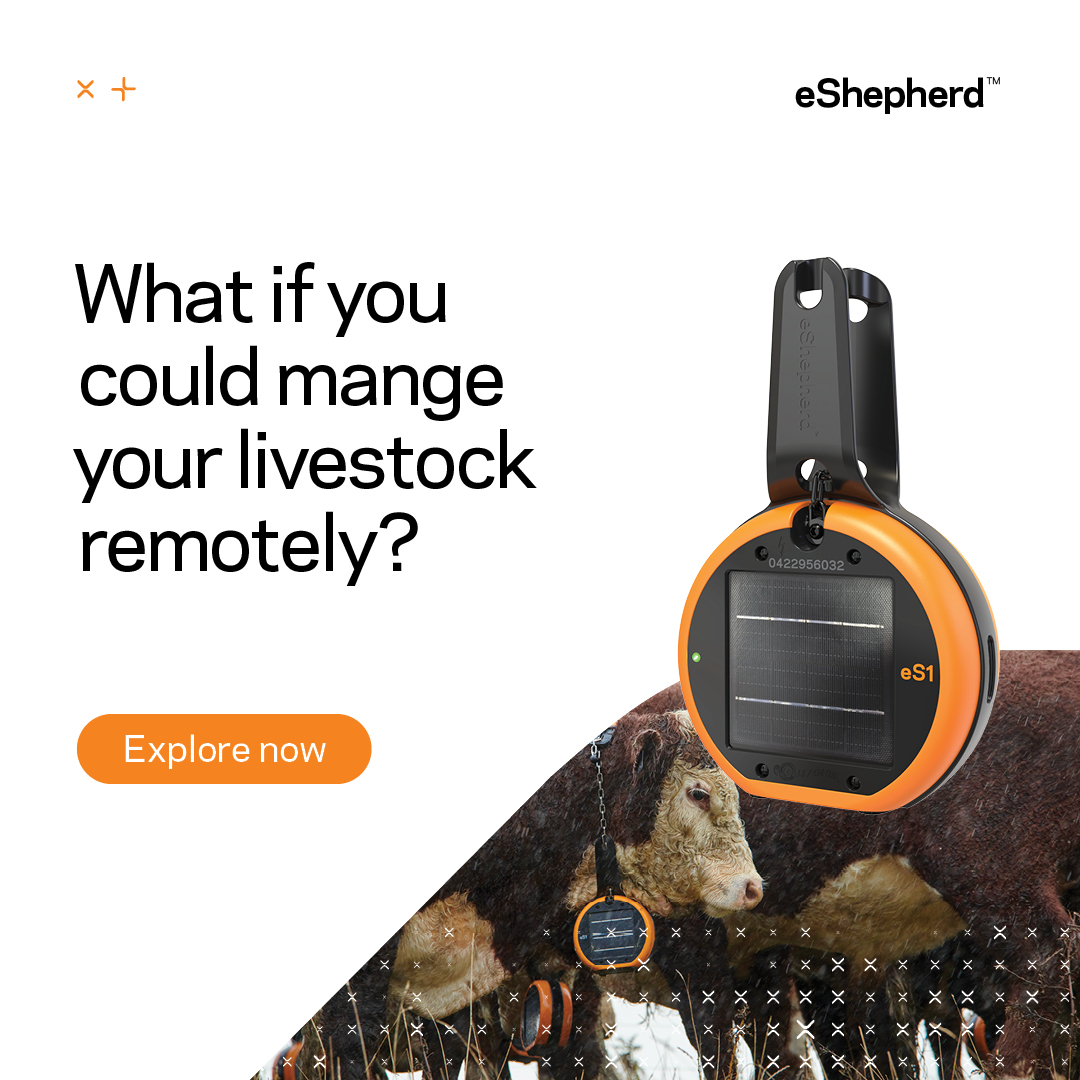 Gallagher Animal Management Australia tweet media