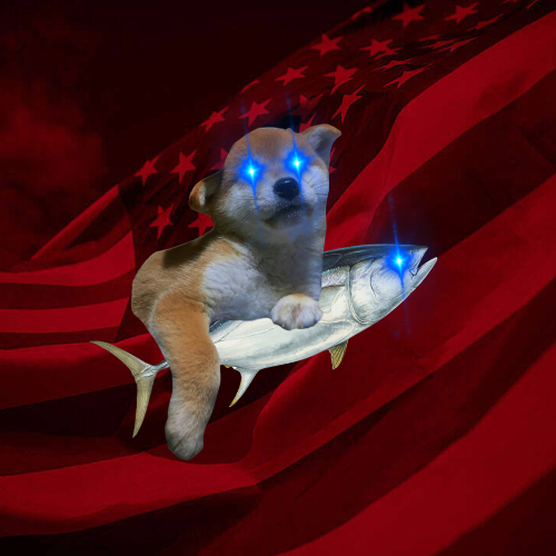 TunaSolana tweet media