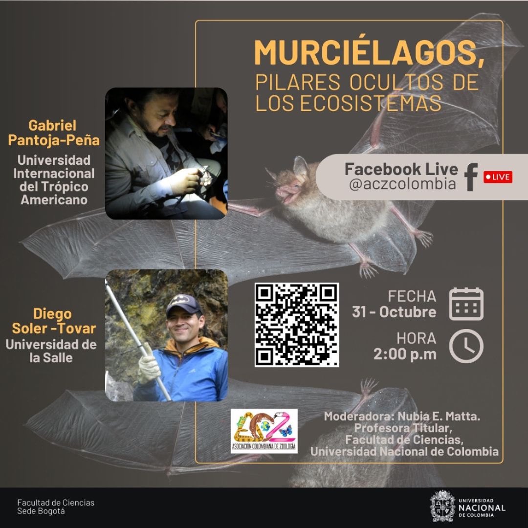 📢 ¡Te invitamos a nuestro próximo conversatorio!

🦇 Murciélagos: Pilares Ocultos de los Ecosistemas
🗓 Fecha: 31 de octubre
🕑 Hora: 2:00 p.m.

Descubre cómo los murciélagos, más allá de los mitos, son fundamentales para el equilibrio ecológico.

facebook.com/share/4Nv3mz8j…