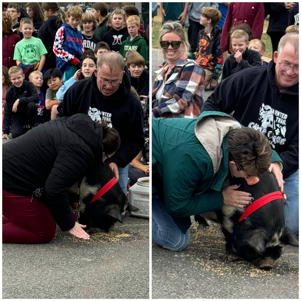 Linton Springs Elementary School tweet media