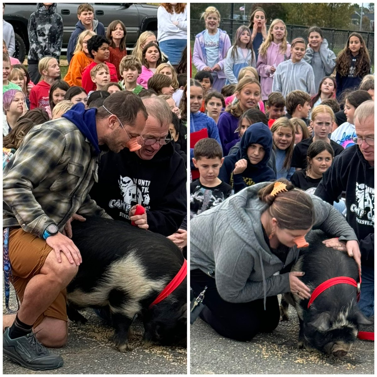 Linton Springs Elementary School tweet media