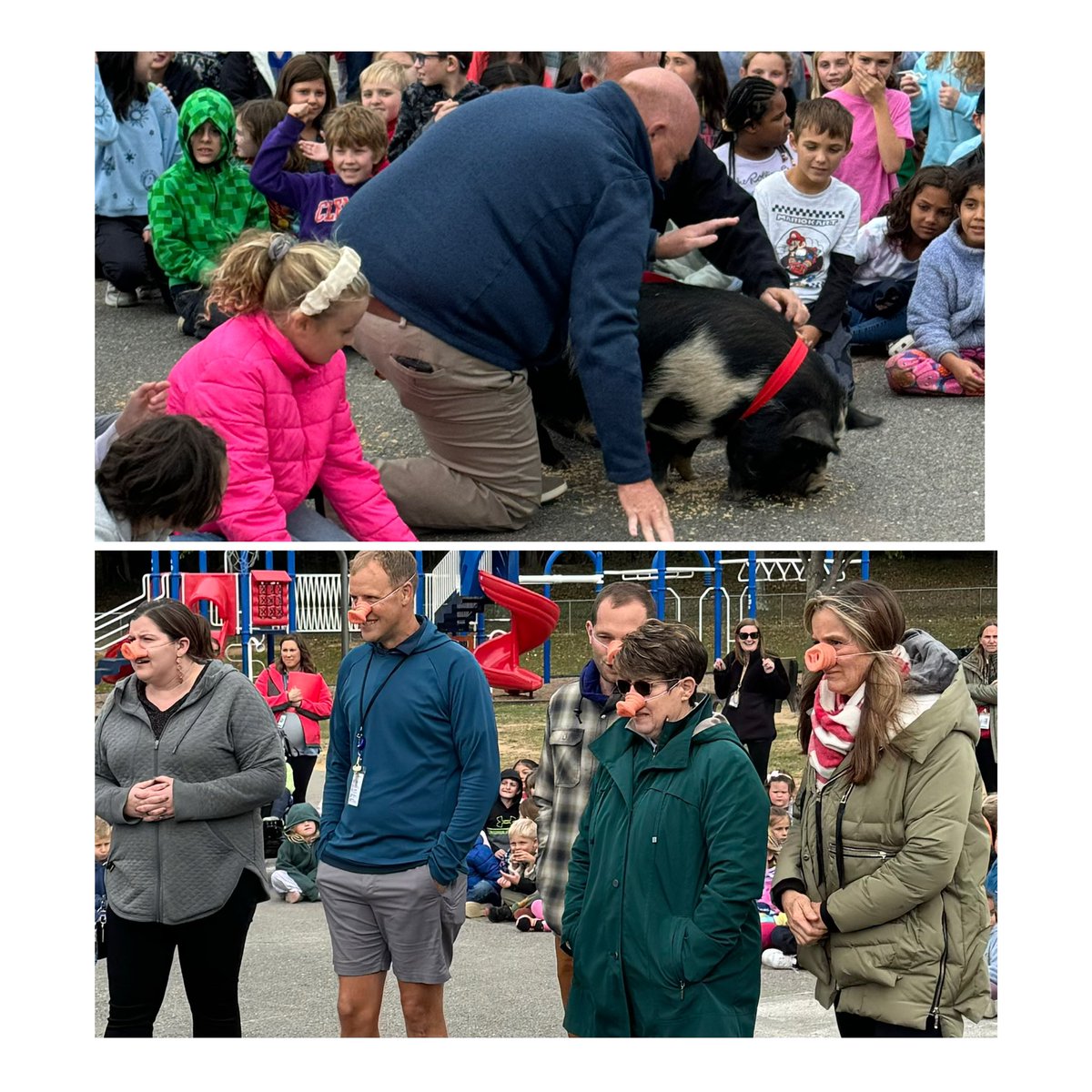 After raising over $61,000 for our annual Fun Run, we had a squealing good time celebrating! Special thanks to Red Barn Ranch for allowing us to kiss Pumba the pig! It was a huge hit &amp; highlight of the event! 💋🐷 #TeamLSESuperStars #LeadingLinton <a href="/CCPSk12/">Carroll County PS</a>