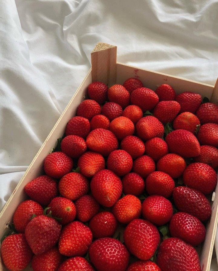 i3Moment's tweet photo. 🍓 https://t.co/pgLyZXPBf7
