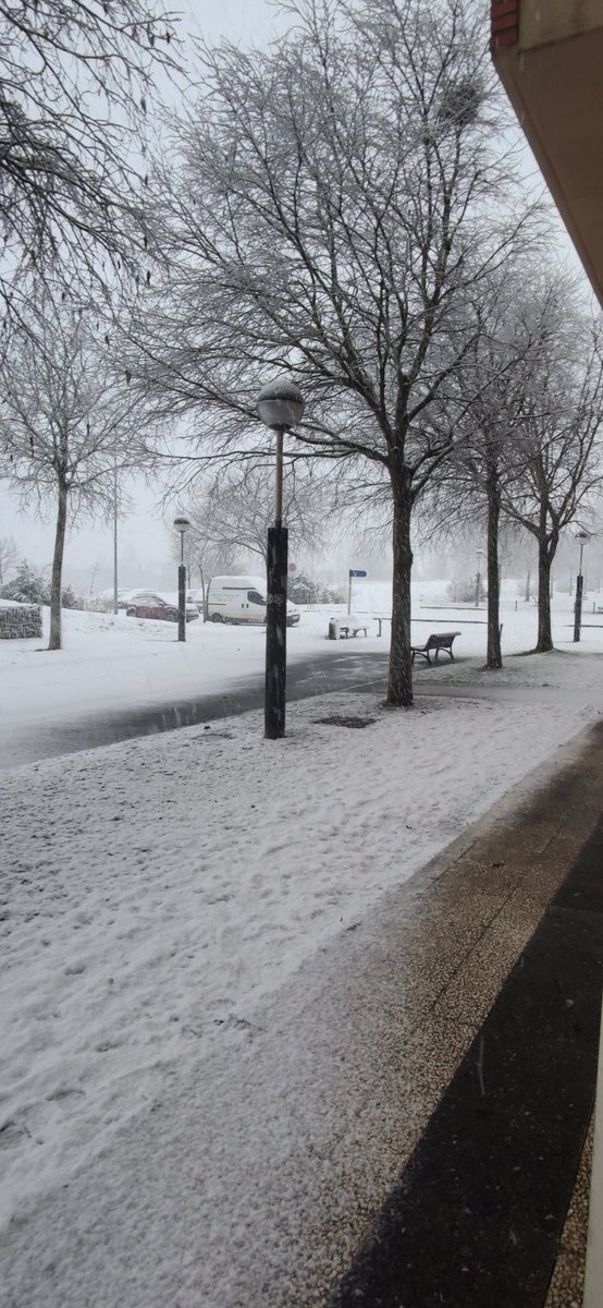 Ojalá volver a este momento