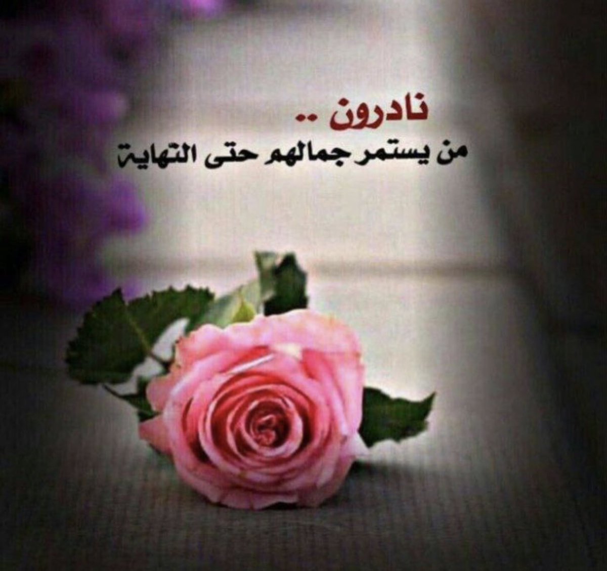 🇸🇦A (@aish08642) on Twitter photo 