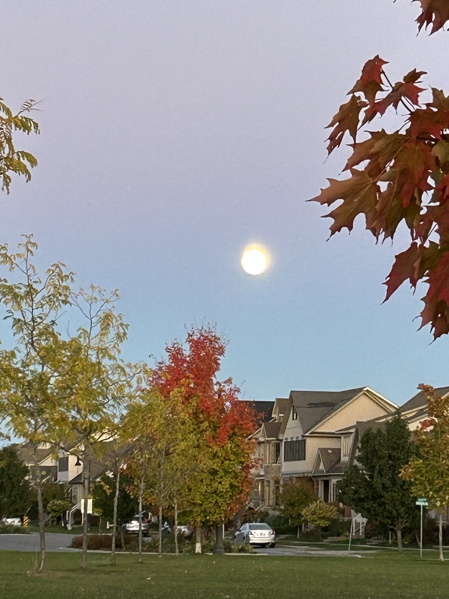Look up tonight #ygk friends, this is a terrible picture of a truly spectacular Hunter’s Moon…