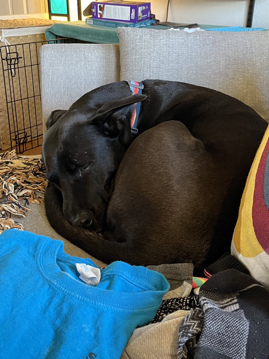 NW Editors Guild (Find us on other socials) tweet media