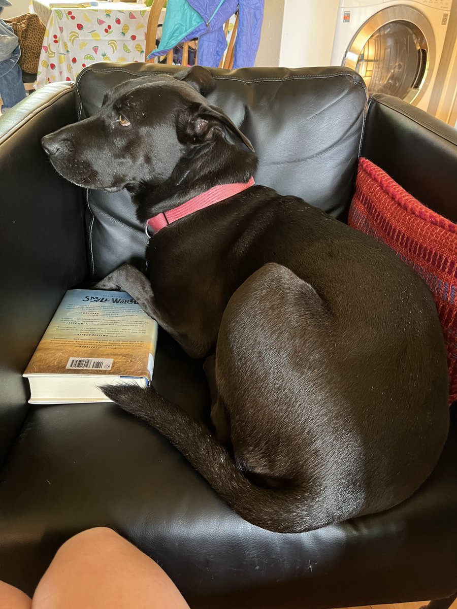 NW Editors Guild (Find us on other socials) tweet media