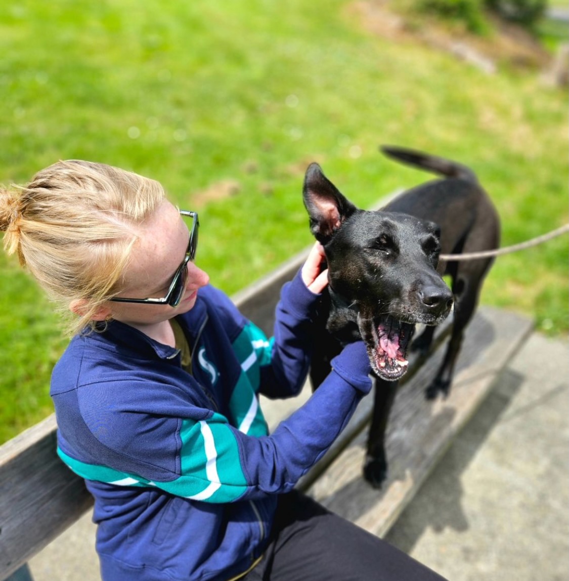 NW Editors Guild (Find us on other socials) tweet media