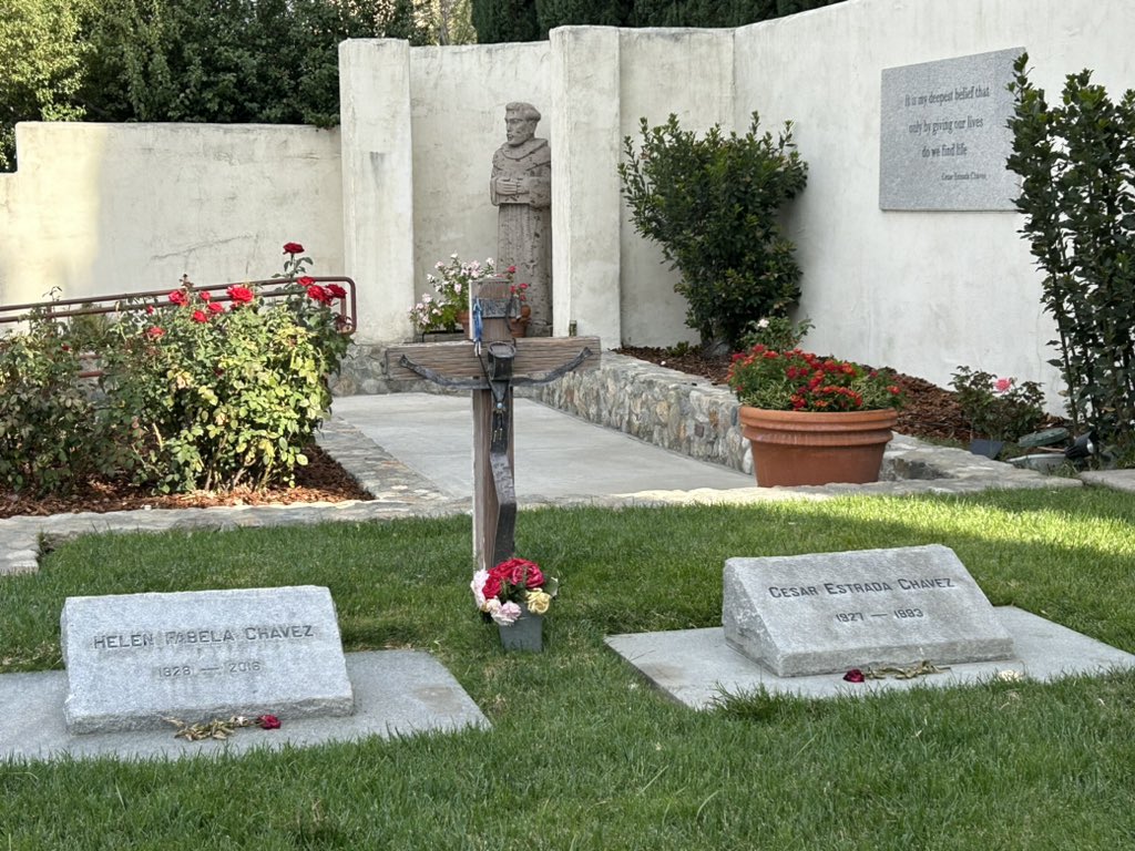 Amelia Kegan tweet media