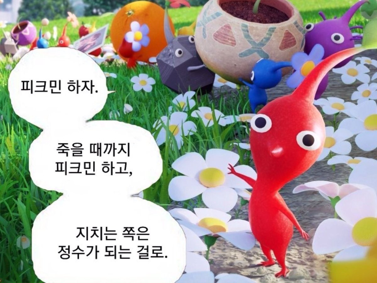 피크민족사랑협회 (@elysian1015) on Twitter photo 