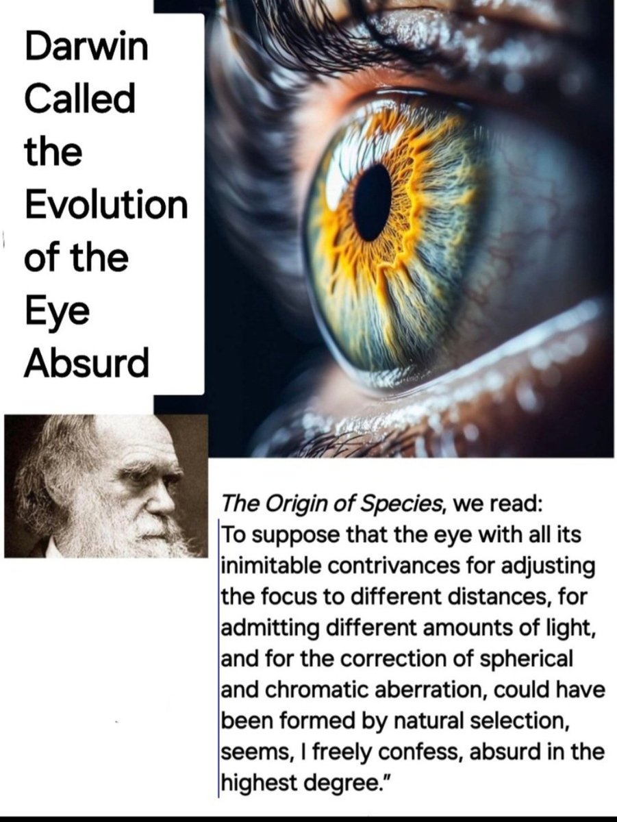 TrevorL415's tweet photo. There is just too many God Proofs.
There was no time for evolution.
Atheist Globetards are in for a surprise π«’ Darwinism is a false flag style. A publicity stunt to hide your Creator. π
#GodProofs #LoveGod https://t.co/5PlAnqkBIE
