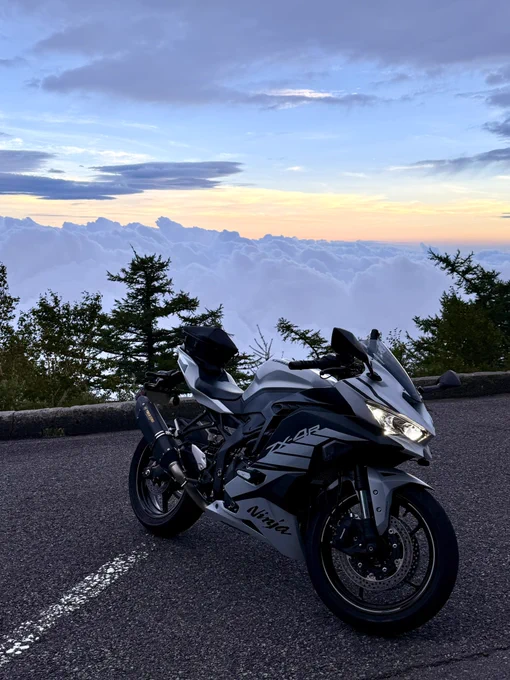 zx4r - Search / X