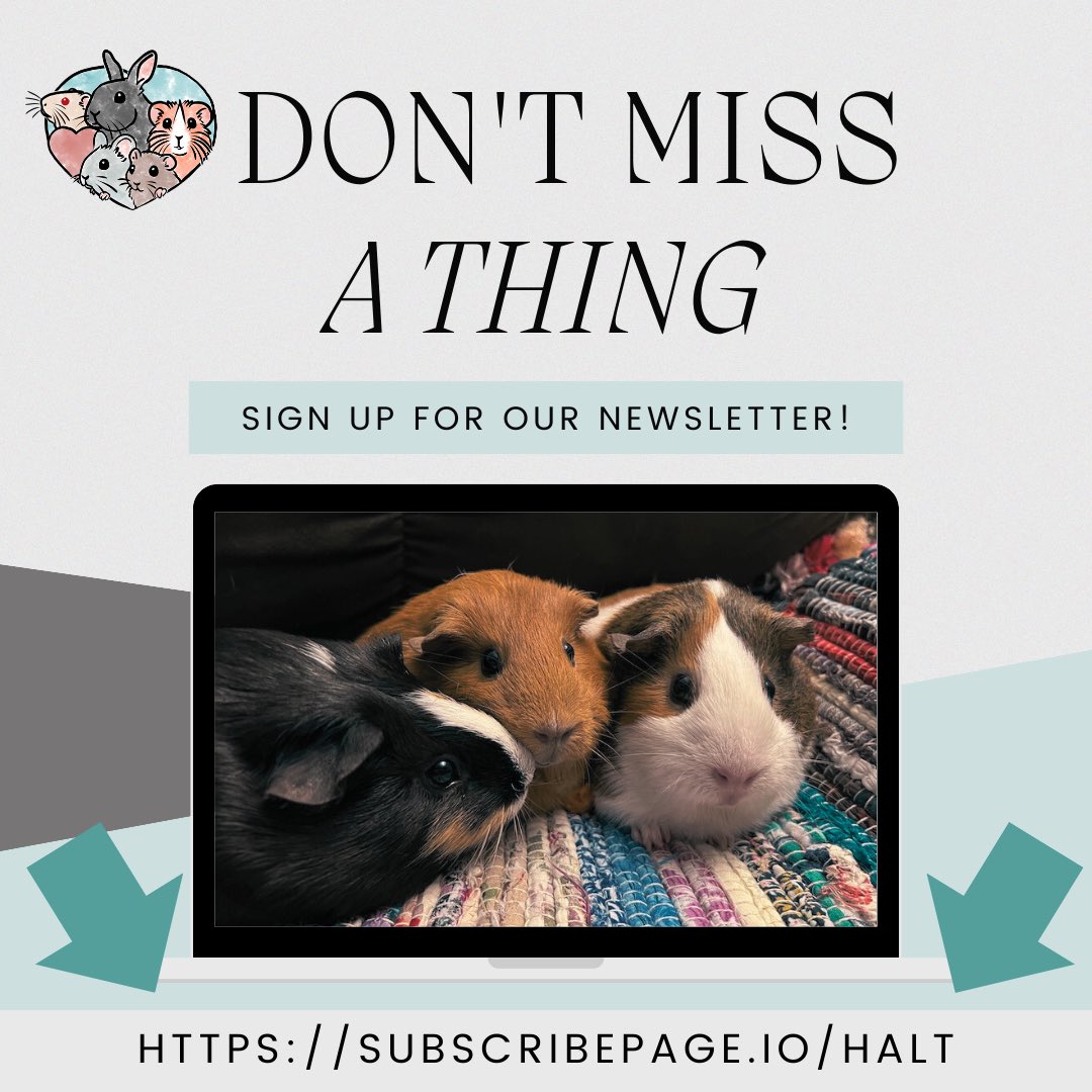 Stay on top of what's going on with the rescue even if you're not on social media - sign up for our newsletter! We're aiming to send a monthly update on everything going on with the rescue and how you can help, along with resources and info

Sign up here: subscribepage.io/halt