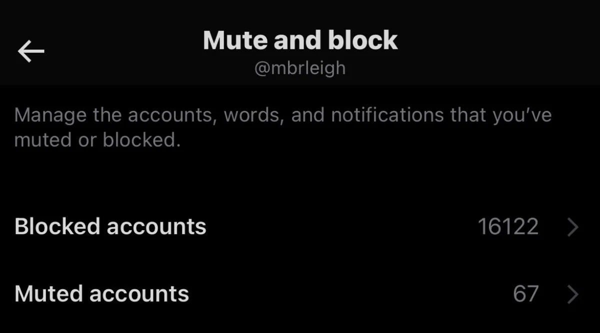 Mute and Block list on twitter showing 16,122 blocked accounts and 67 muted accounts