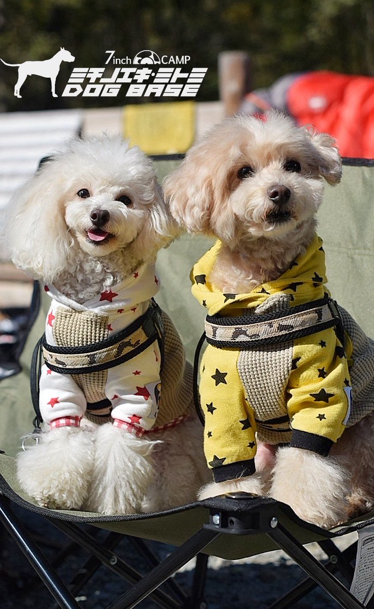 7inchCamp's tweet photo. 7inch CAMPミチノエキミトミDOGBASE
#7inchcamp
#7inchcampミチノエキミトミdogbase
#ミチノエキミトミ
#道の駅みとみ
#ドックランサイト
#犬のいる暮らし
#犬好きな人と繋がりたい
#西沢渓谷
#広瀬ダム
#キャンプ場
#キャンプのある暮らし
#dogbase https://t.co/CXa1xnt85O