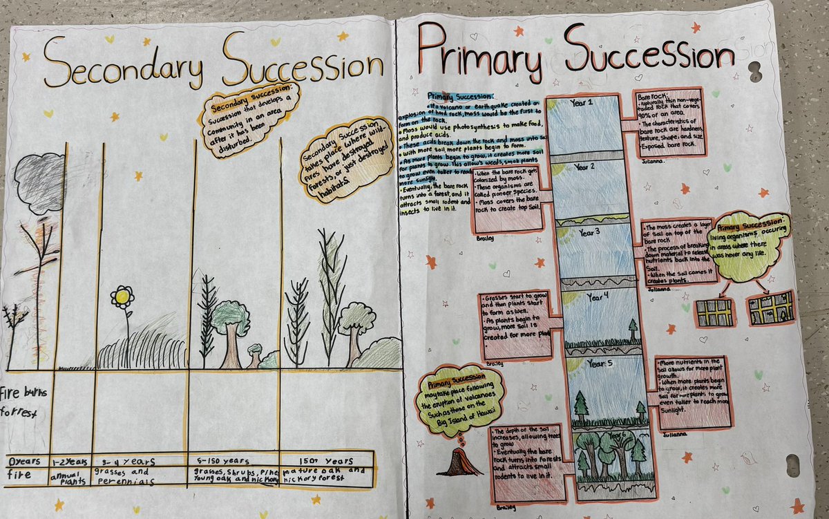 ms_storto's tweet photo. Grade 7s creatively summarized and explained what they learned about Primary and Secondary Succession!👩🏼‍🔬🌳🌿🍂🐰🐿️🦊 https://t.co/FkvyaVXJA4